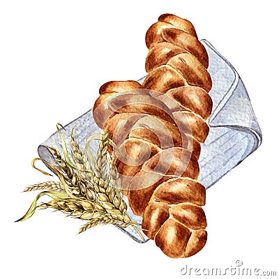 Challah tradition Jewish bread watercolor illustration isolated on white background. Hand drawn Israelite bread on Cartoon Illustration