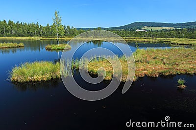 Chalupska bog in Sumava National Park Stock Photo