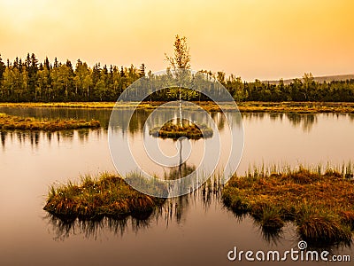 Chalupska Moor Lake near Borova Lada, Sumava Mountains, Czech Republic, Europe Stock Photo