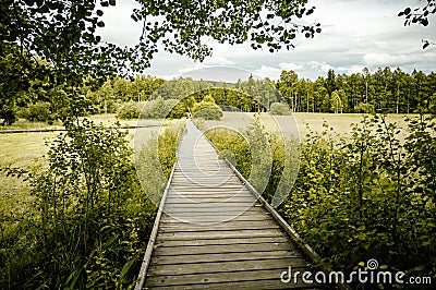 Chalupska moor path. Chalupska moor in summer, Sumava, National Park, Czech Republic. Travel destination. South Bohemia landscape. Stock Photo