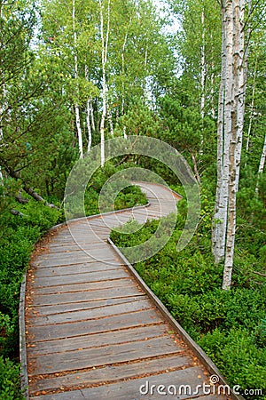 Chalupska slat, Sumava, Czech Republic Stock Photo