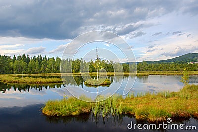 Chalupska slat, Sumava, Czech Republic Stock Photo