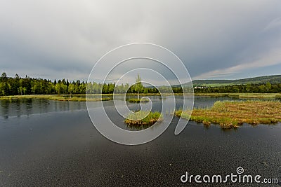 Chalupska slat, sweet lonely tree Stock Photo