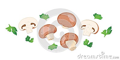 Fresh Royal Brown Champignon Mushrooms and parsley leaf on white background. Vector Illustration