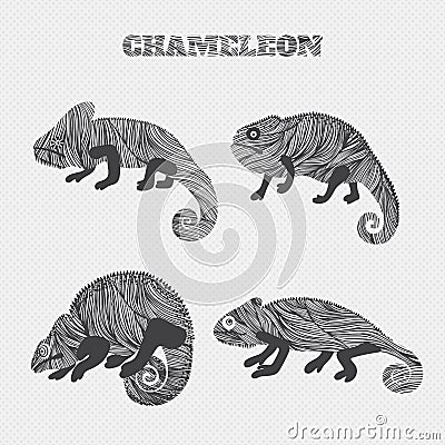 Chameleon set collection. Stickers, posters, background. Can be used for wallpapers, pattern fills, web page backgroundssurface Vector Illustration