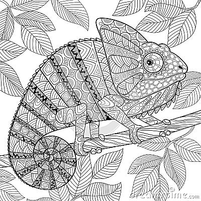 Chameleon in zentangle style. Adult antistress coloring page Vector Illustration