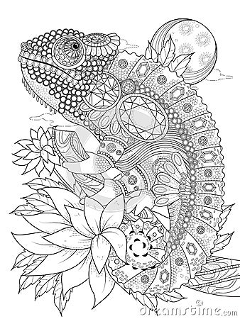 Chameleonb adult coloring page Stock Photo