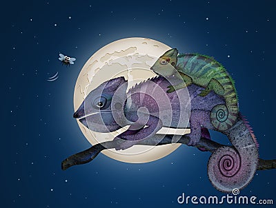 Chameleons on the branch in the moonlight Stock Photo