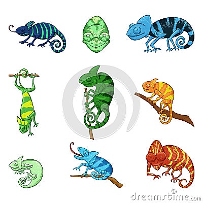 Chameleons in different poses color illustrations set Vector Illustration