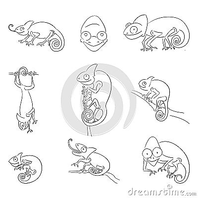 Chameleons in different poses outline illustrations set Vector Illustration