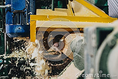 Chamfering the board using the rasp Stock Photo