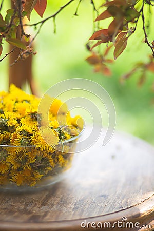 chamomile blossoms in a glass bowl. Chamomile tea, flowers of Matricaria chamomilla Stock Photo