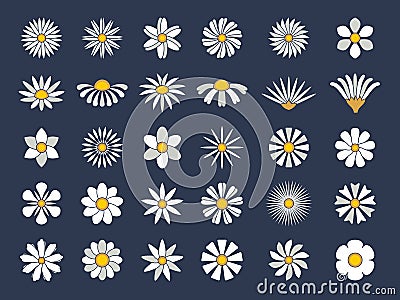 Chamomile collection. Botanical flowers set healthy stylized herbas cartoonic blossom chamomiles recent vector flat Vector Illustration