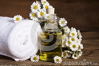 Chamomile Essential Oil Stock Photo