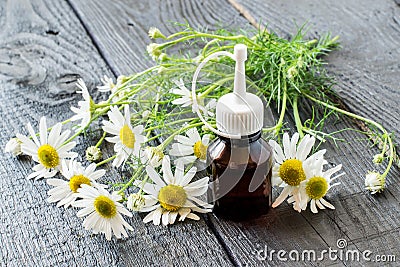Chamomile essential oil and chamomile flowers Stock Photo