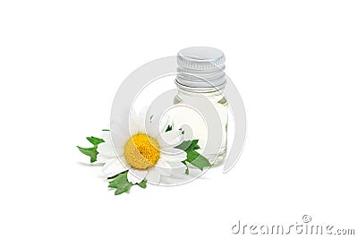 Chamomile essential oil in glass bottle with fresh flowers on background, isolated Stock Photo