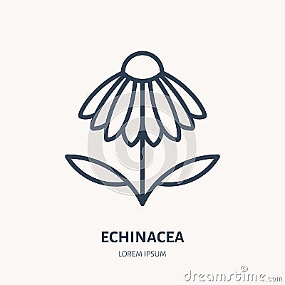 Chamomile flat line icon. Medicinal plant echinacea vector illustration. Thin sign for herbal medicine logo Vector Illustration