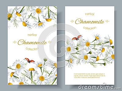 Chamomile flower banners Vector Illustration