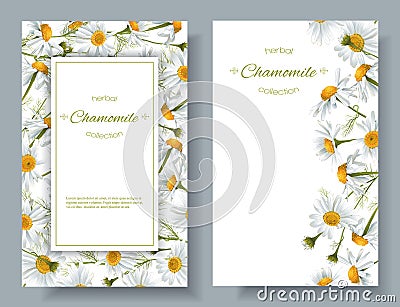 Chamomile flower banners Vector Illustration