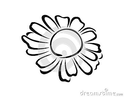 Chamomile flower black-white outline icon. Daisy vector illustration, silhouette. Medical herb Vector Illustration