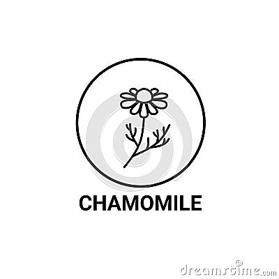 Chamomile flower herbal organic icon emblem, Can be Used logo or Template to pack Tea, Cosmetics, Medicines, biologic Vector Illustration