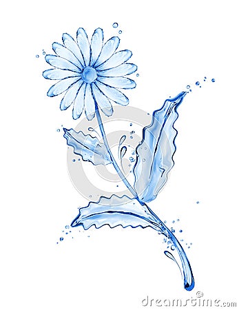 Chamomile flower made of water splashes isolated on white Stock Photo