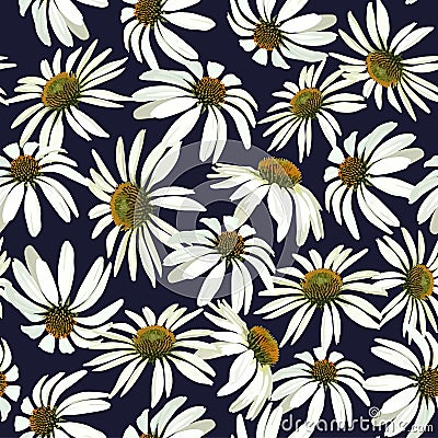 Chamomile flowers. Seamless vector patern with isolated plants. Vector Illustration