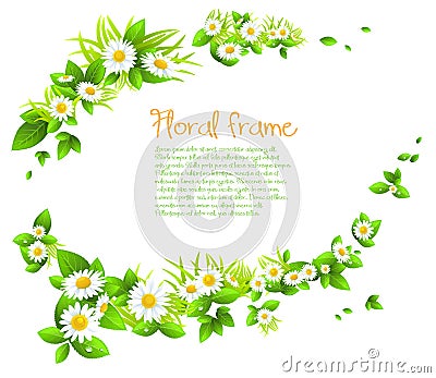 Chamomile frame Vector Illustration