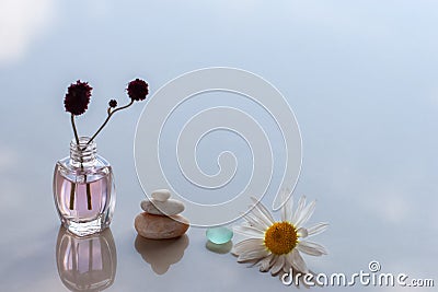 Chamomile, glass, pyramid of three stones and bottles with liquid and a sprig are on the surface with reflections. Stock Photo