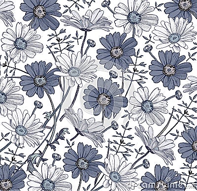 Chamomile Grass Wildflowers vector. Drawing, engraving. Beautiful vintage background blooming white blue realistic flowers. Vector Illustration