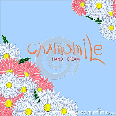 Chamomile illustration Vector Illustration