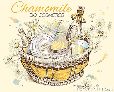 Chamomile natural cosmetic basket. Vector Illustration