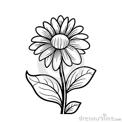 Chamomile silhouette with leaves. Isolated flower image. Vector Illustration