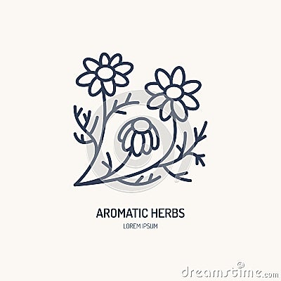 Chamomile vector line icon. Aromatic herbs logo, daisy chain sign. Linear illustration for natural camomile tea Vector Illustration