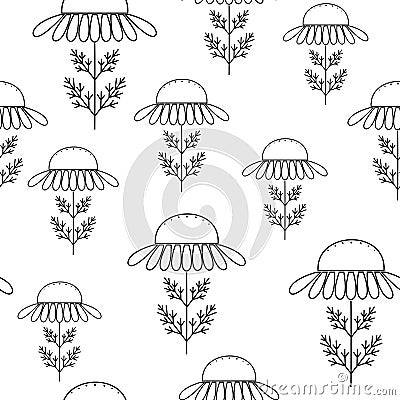 Chamomile on a white background. Suitable as a texture for gift wrapping. Graphic image. Vector illustration Cartoon Illustration