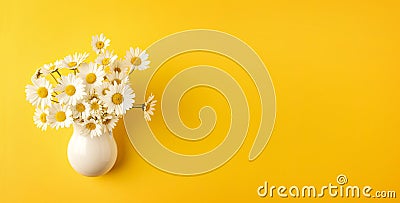 Chamomile White Daisy Flowers Bouquet Bunch on Yellow Background Stock Photo