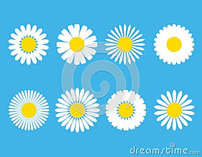 Chamomile. White daisy round flower set. Chamomile icon collection. Isolated on blue background. Flat design. Vector illustration Vector Illustration