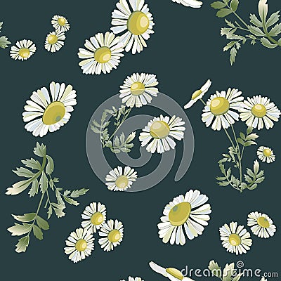 Chamomiles scattered randomly on gray background.Daisy flower drawing. Vector Illustration