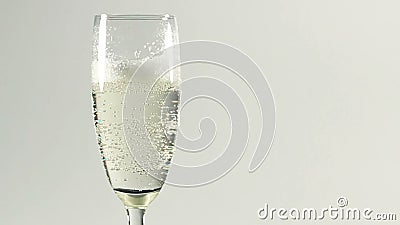 Champagne Champagne