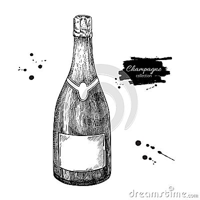 Champagne bottle. Hand drawn isolated vector illustration. Alcoh Vector Illustration