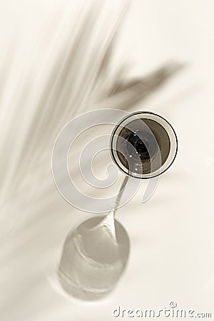 Champagne glass gray colored glass on beige background with beautiful caustic effect and palm leaf shadow from sun Stock Photo