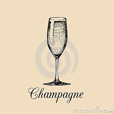 Champagne glass isolated. Vector hand drawn sketch of spumante. Alcoholic drink logo. A white sparkling wine sign. Vector Illustration