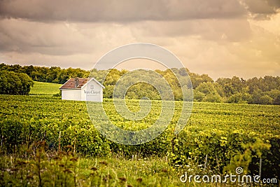 Champagne vineyards, France Editorial Stock Photo
