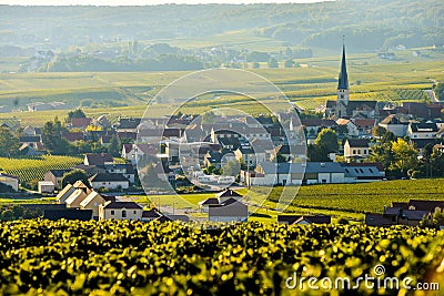 Champagne vineyards Sermiers in Marne department, France Stock Photo