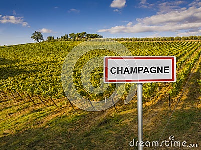 Champagne wine region of France Stock Photo
