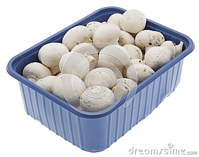 Champignon Stock Photo