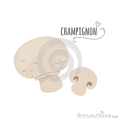 Champignon,agaricus mushrooms isolated on white background.Vector illustration. Vector Illustration