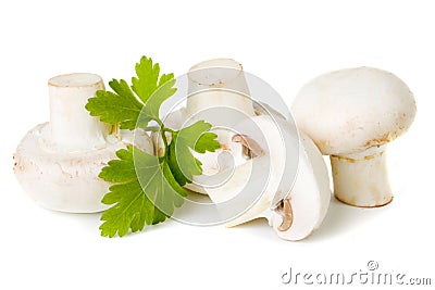 Champignon (button) mushroom Stock Photo