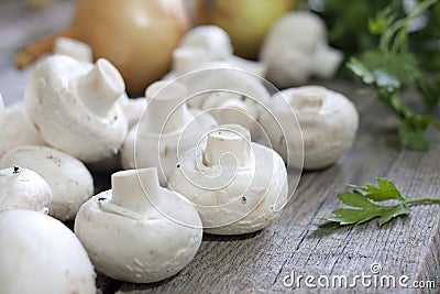 Champignon mushroom Stock Photo