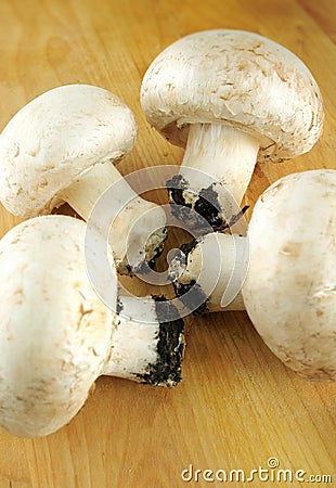 Champignon mushrooms Stock Photo